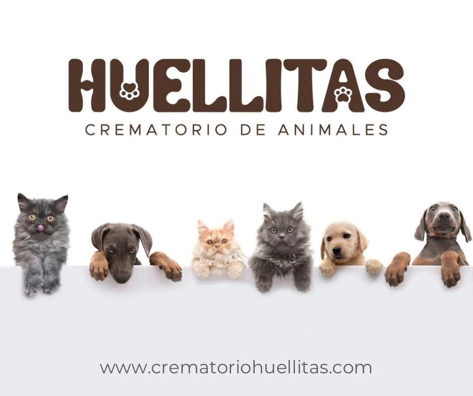 Video thumbnail - Crematorio Huellitas