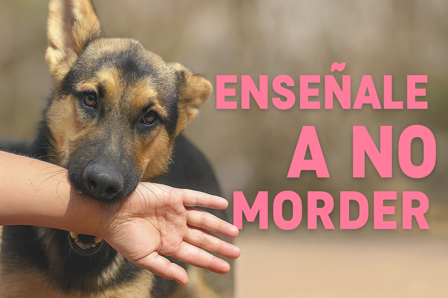 cachorro mordiendo