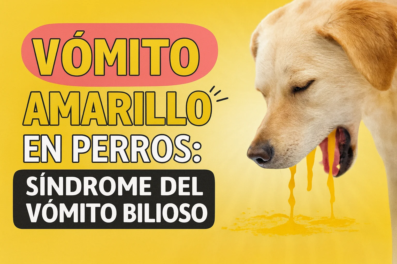 cachorro mordiendo